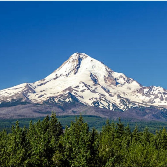 Live Show Notifications - Picture 5 of 7